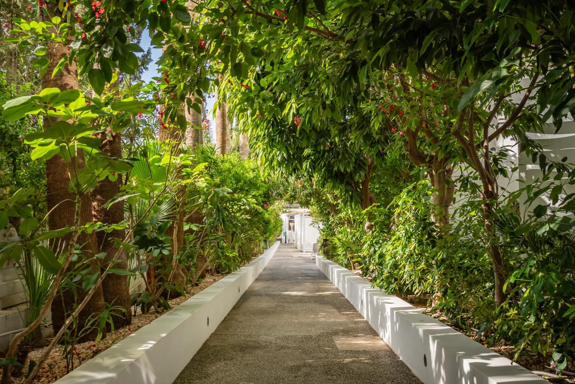 Margadina Hotel Айя Напа Екстериор снимка